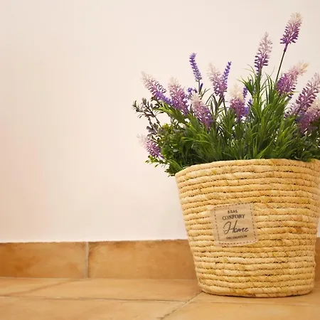 Noray Home Barbate Exterior foto